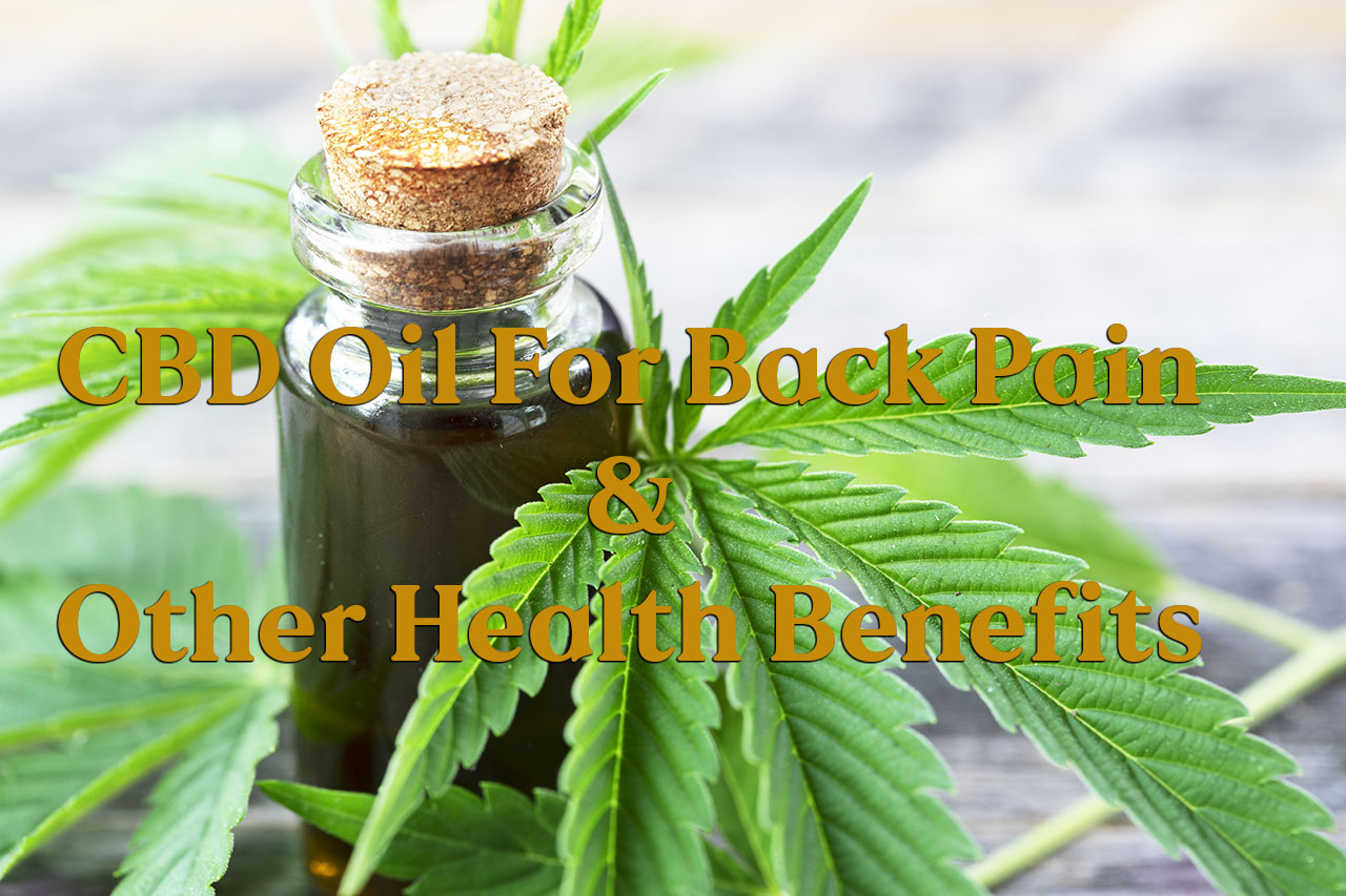 CBD Oil For Back Pain And Other Health Benefits